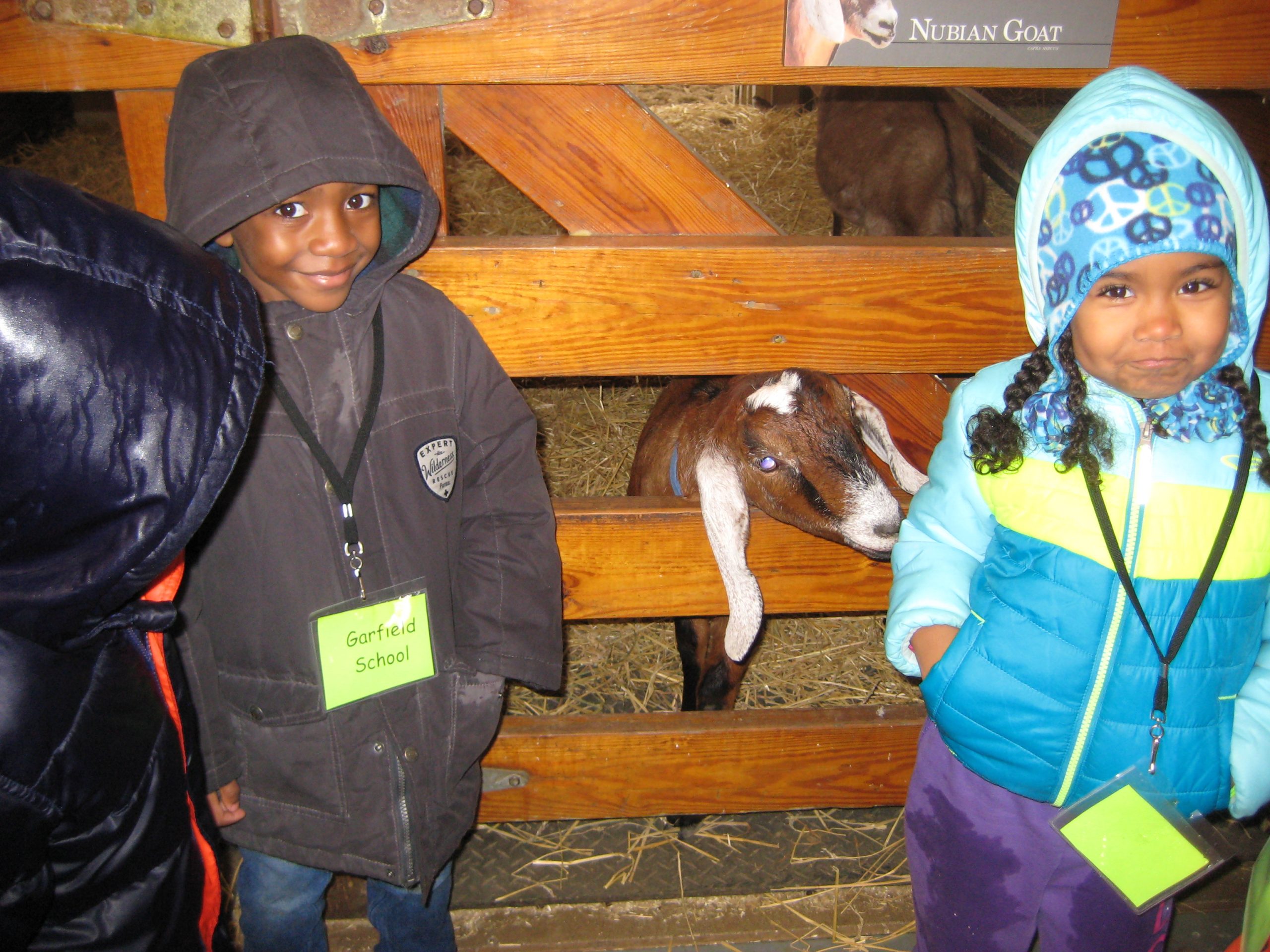 First Field Trip for Kindergarten Forest Park Review