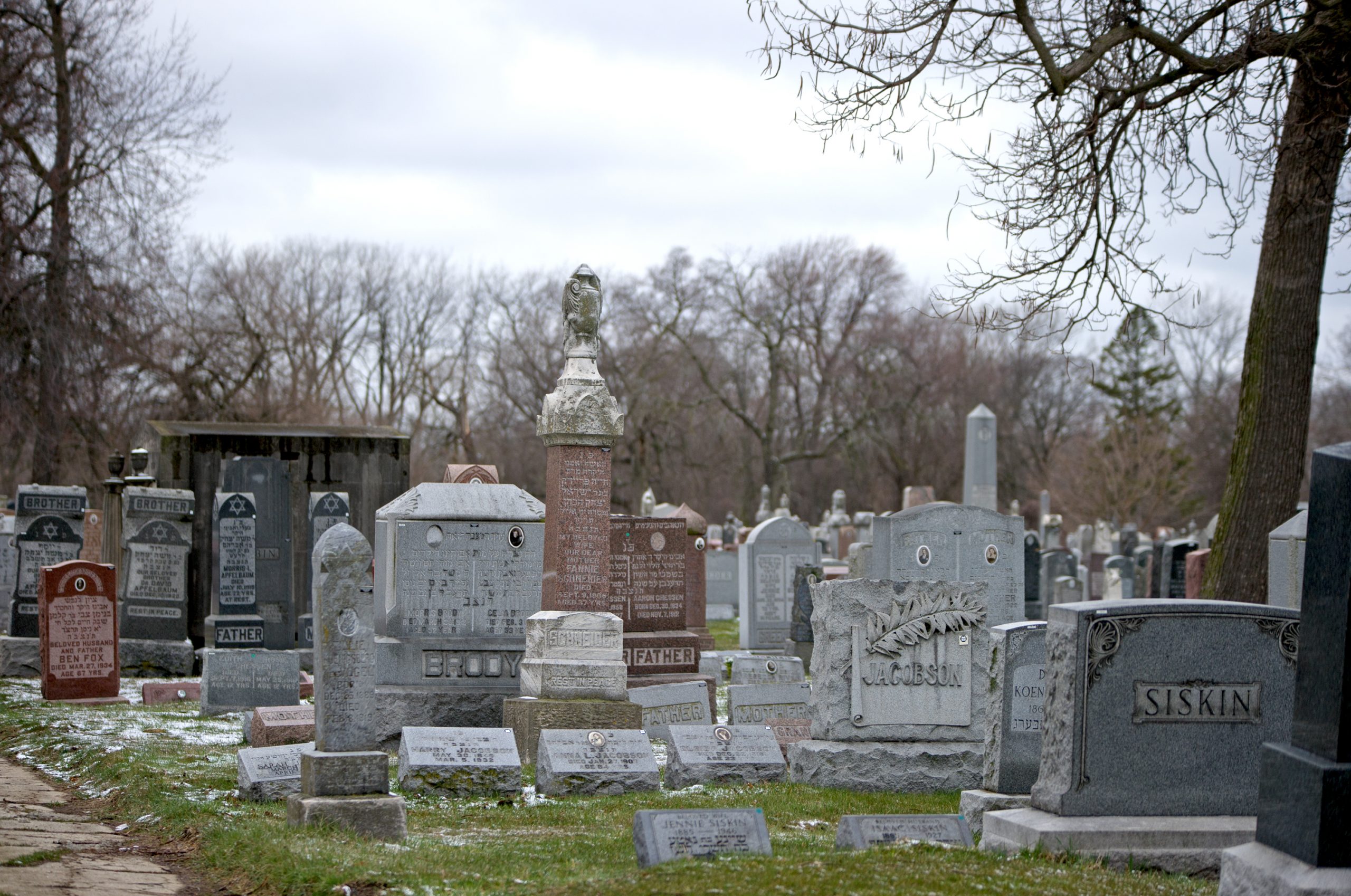The man who saved Jewish Waldheim Cemetery Forest Park Review