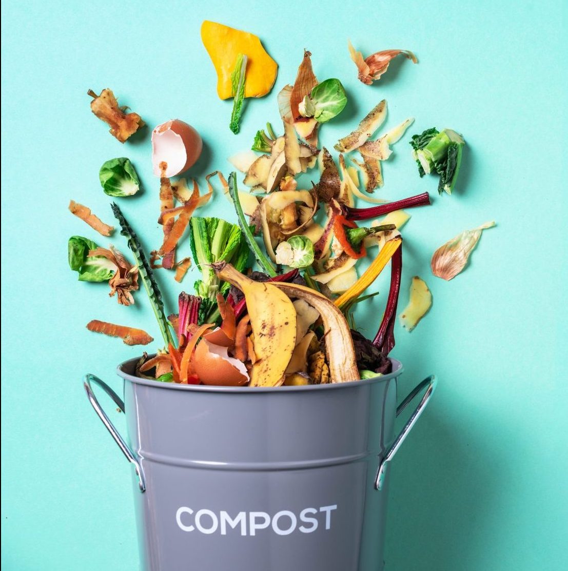Forest Park exploring new composting options for residents 