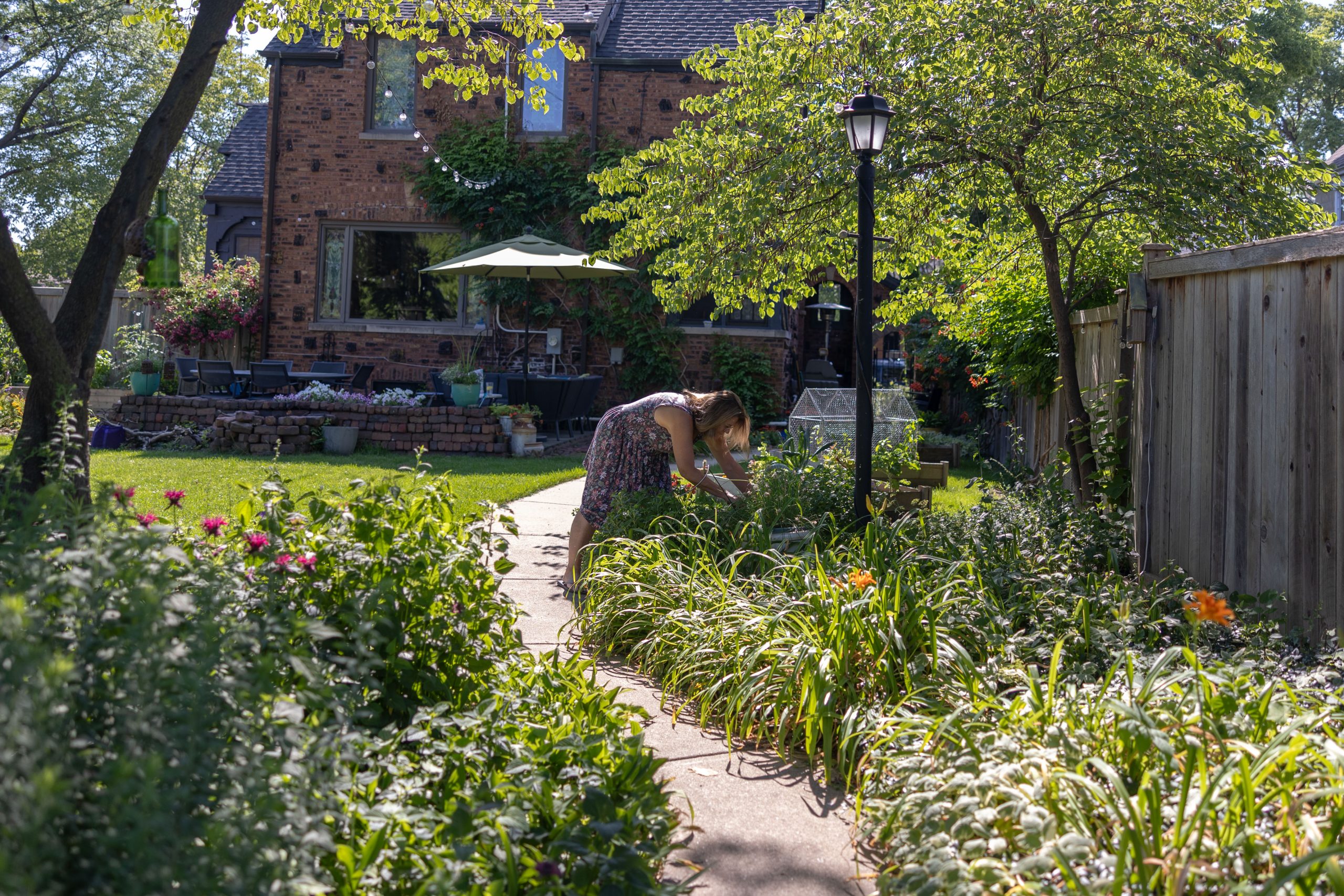 Garden Walk blooms for 6th year July 15 Forest Park Review